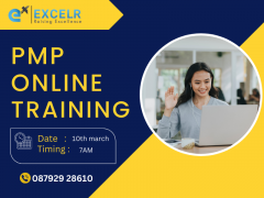 PMP Online Training