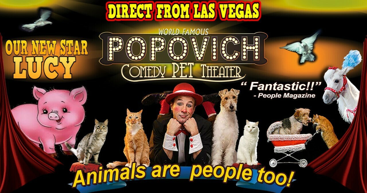 Comedy Pet Theatre, Santa Cruz, California, United States