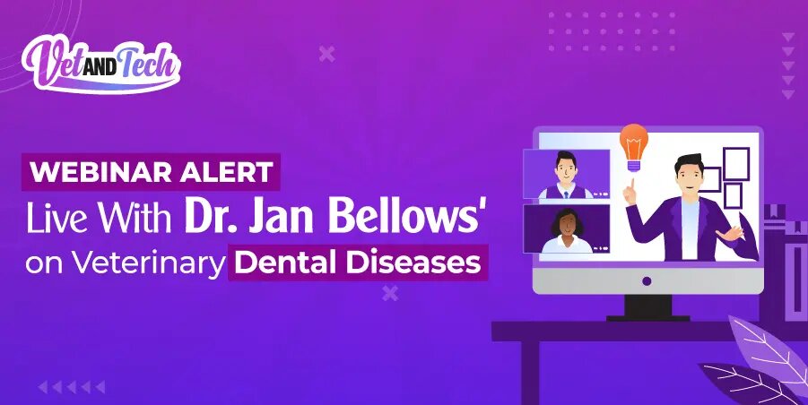Recognizing the Top 15 Dog and Cat Dental Diseases Webinar by Dr. Jan Bellows, Online Event