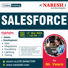 Best salesforce training in hyderabad Naresh It