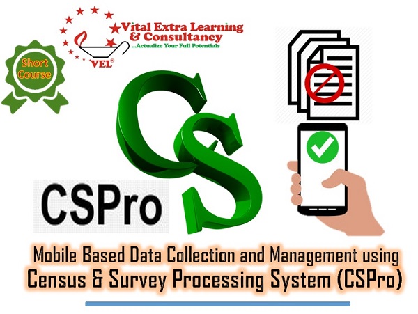 Mobile Based Data Collection and Management using Census and Survey Processing System (CSPro), Kigali, Rwanda