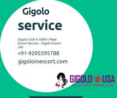 Gigolo Club in India