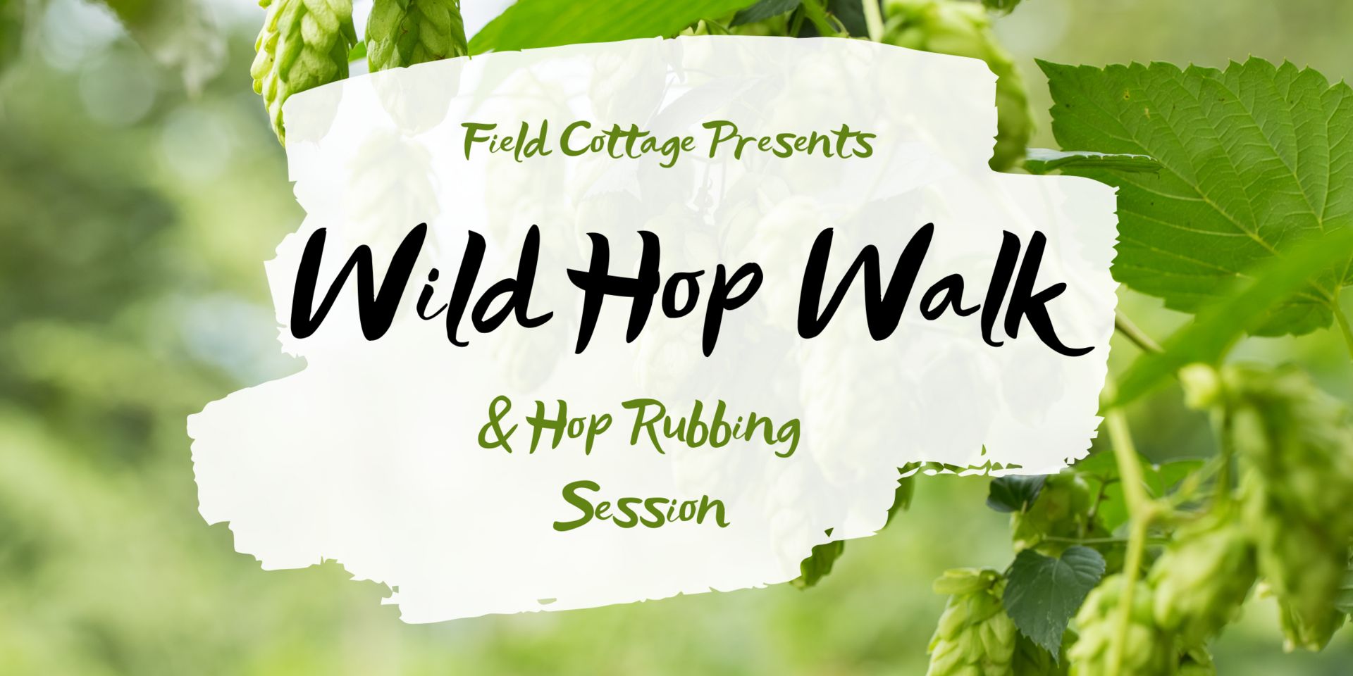 Wild Hop Walk and Hop Rubbing Session, Peterstow, England, United Kingdom