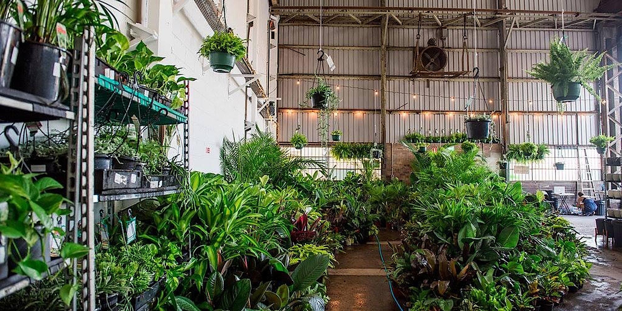 Melbourne - Huge Indoor Plant Warehouse Sale - Jungle Wonderland, Melbourne, Victoria, Australia