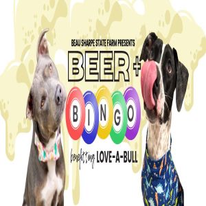 Beer and Bingo for Love-A-Bull at Lazarus Brewing presented by Beau Sharpe State Farm, Austin, Texas, United States