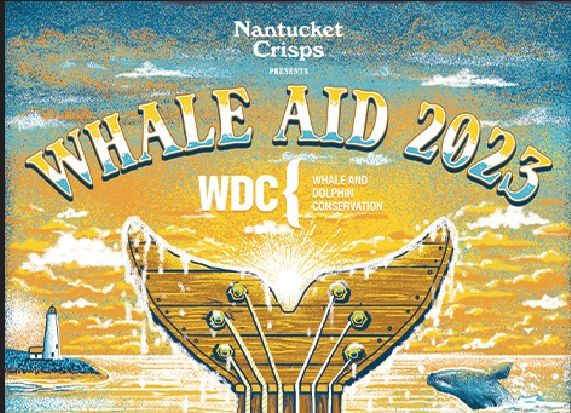 Whale Aid Concert, Boston, Massachusetts, United States