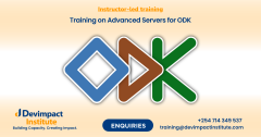 Training on Advanced Servers for ODK