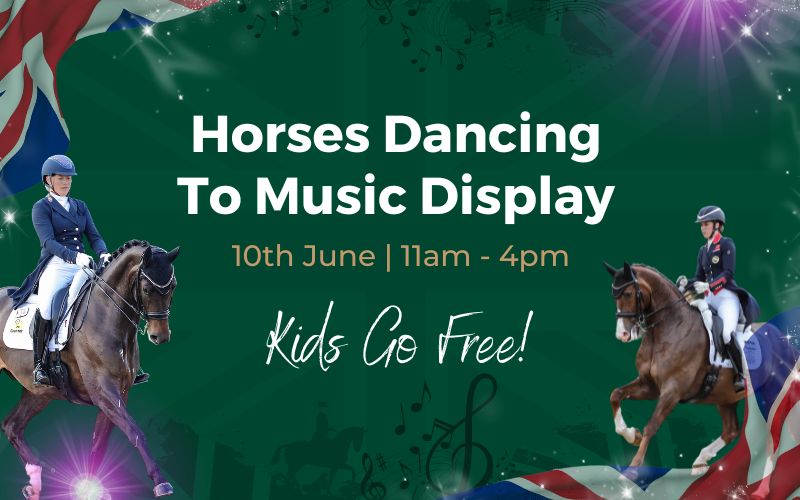 Horses Dancing To Music Display, Hook, England, United Kingdom