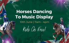 Horses Dancing To Music Display