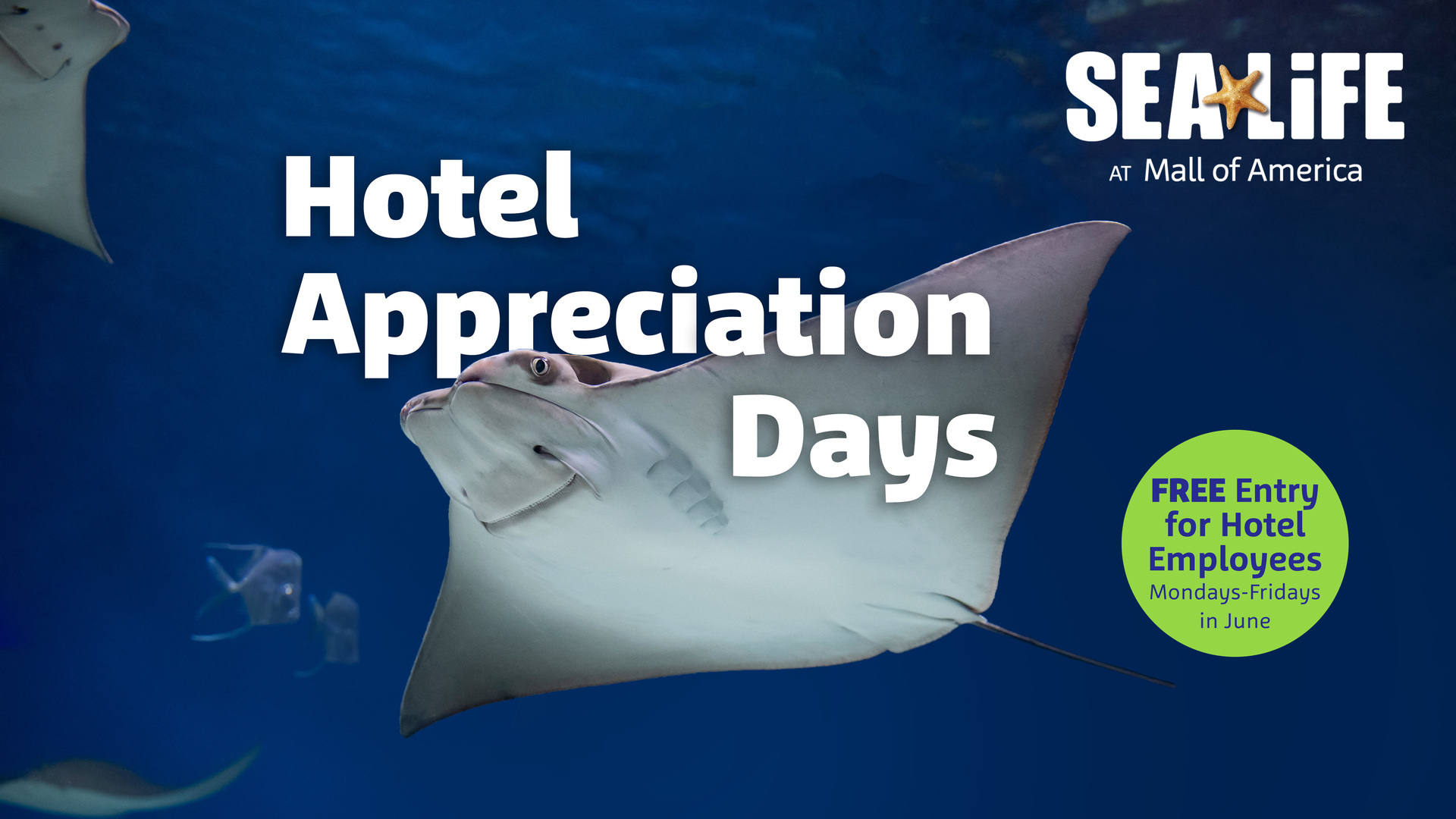 Hotel Appreciation Days at SEA LIFE, Bloomington, Minnesota, United States
