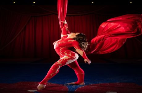 Do Portugal Circus, 21801, Maryland, United States