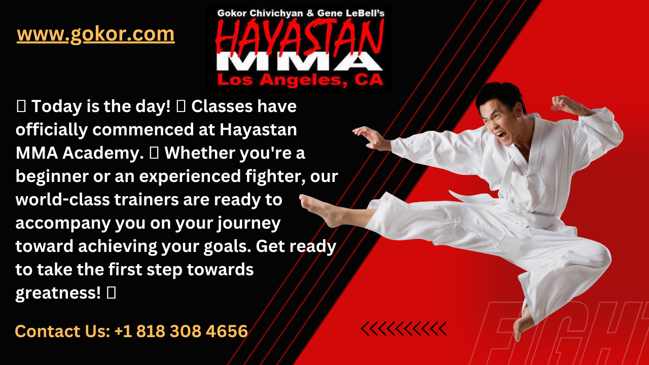 Unleash Your Inner Fighter: Join Hayastan MMA Academy Today!, Online Event