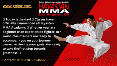 Unleash Your Inner Fighter: Join Hayastan MMA Academy Today!