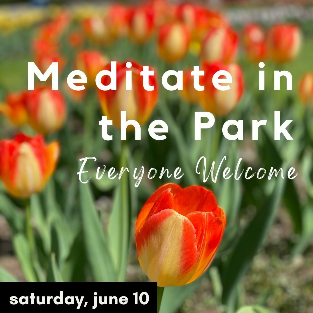 Meditate in the Park, Hartford, Connecticut, United States
