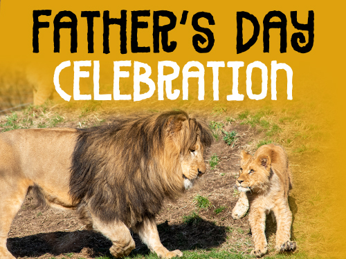 Pittsburgh Zoo and Aquarium Father's Day Celebration, Pittsburgh, Pennsylvania, United States