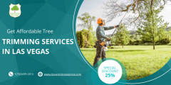 Get Affordable Tree Trimming Services in Las Vegas