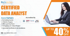 Certified Data Analyst Training in Chennai