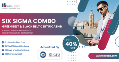 Six sigma certification Training in Chennai