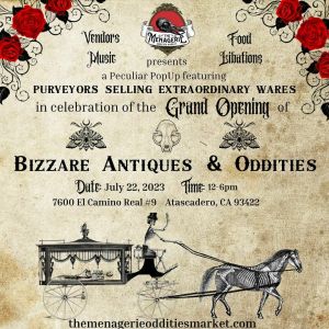 A Peculiar PopUp GRAND OPENING at Bizarre Antiques and Oddities Shop, Atascadero, California, United States