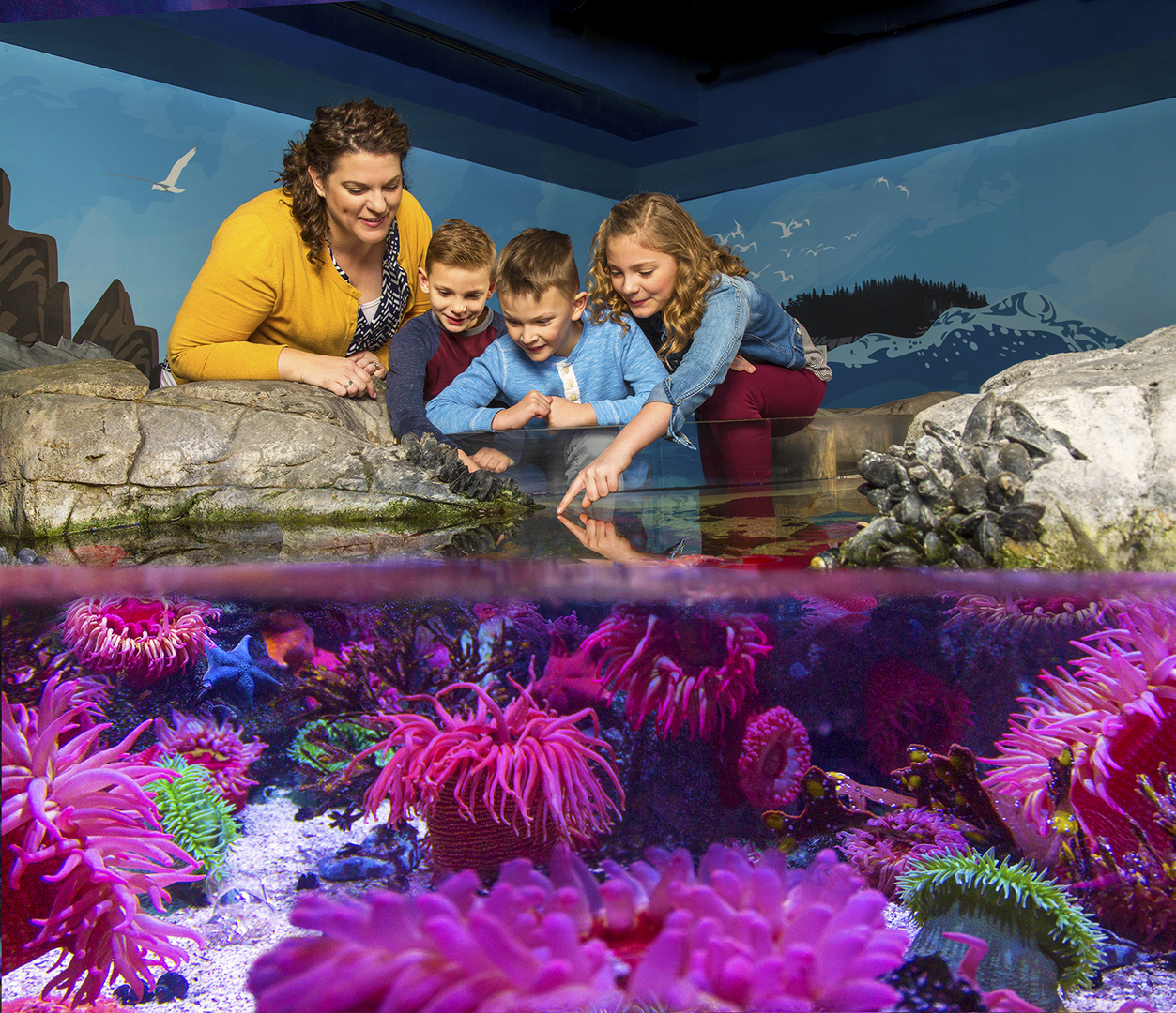 Teacher Appreciation Days at Michigan's Largest Aquarium FREE Entry