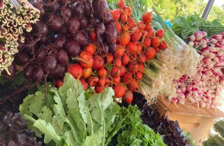 Kittery Community Market | Sunday, July 9th | 10-2 PM, Kittery, Maine, United States