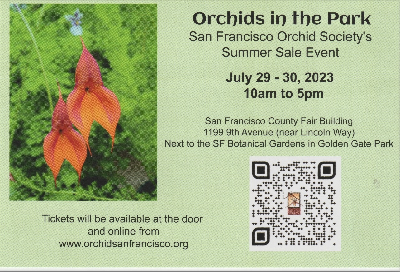 ORCHIDS IN THE PARK 2023, San Francisco, California, United States
