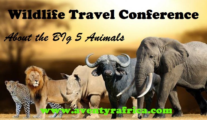 The Wildlife Travel Conference, Luwero, Central, Uganda