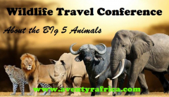 The Wildlife Travel Conference