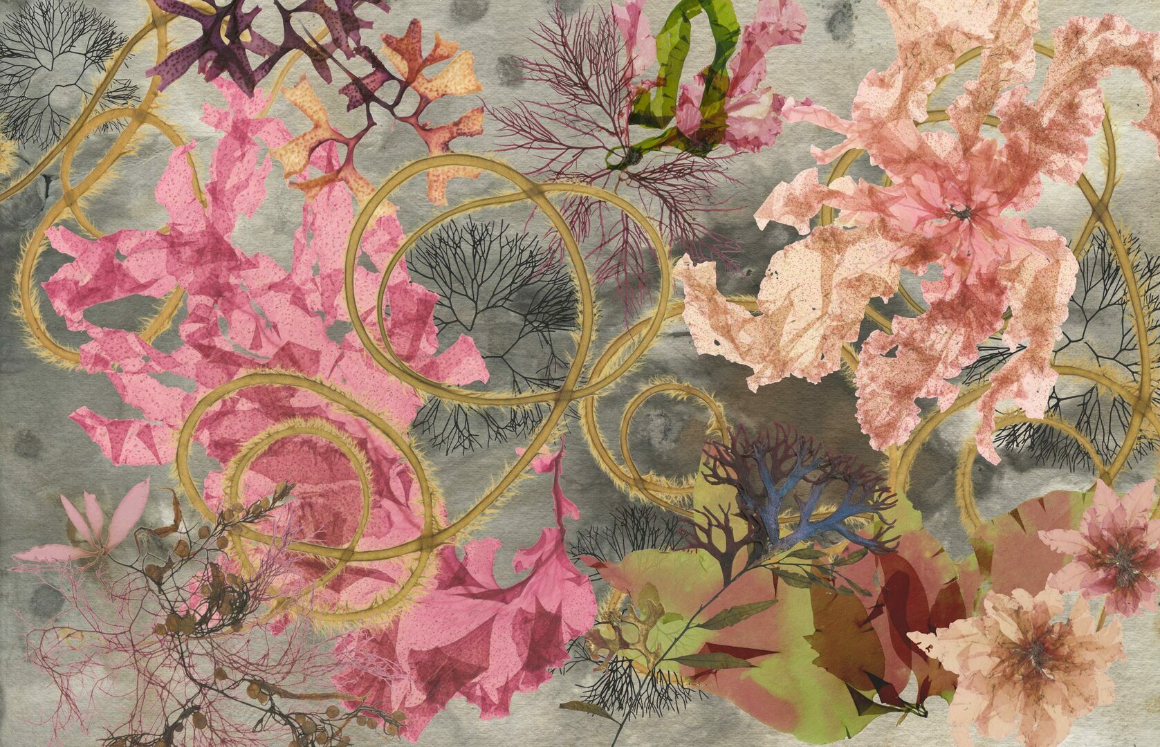 Seaweed Roundtable: Science and Food, New Bedford, Massachusetts, United States