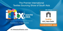 Intex South Asia India
