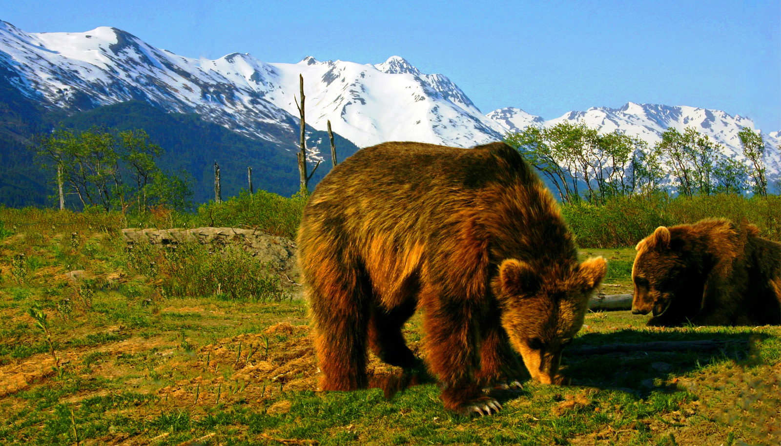 ECHO ALASKA: Frontiers of Multimodality Imaging Including Echo, Cardiac CT, and MRI, Anchorage, Alaska, United States