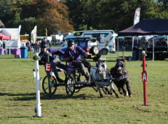 Somerset County Show 2023