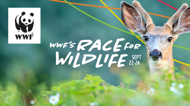 WWF-Canada's Race for Wildlife Sept 22-24, Online Event