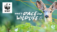 WWF-Canada's Race for Wildlife Sept 22-24