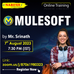 Mulesoft Online Training in Hyderabad | NareshIT