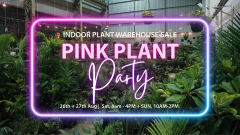 Sydney – Huge Indoor Plant Warehouse Sale – Pink Plant Party!