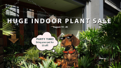 Perth Indoor Plant Warehouse Sale – Pet Friendly Focus