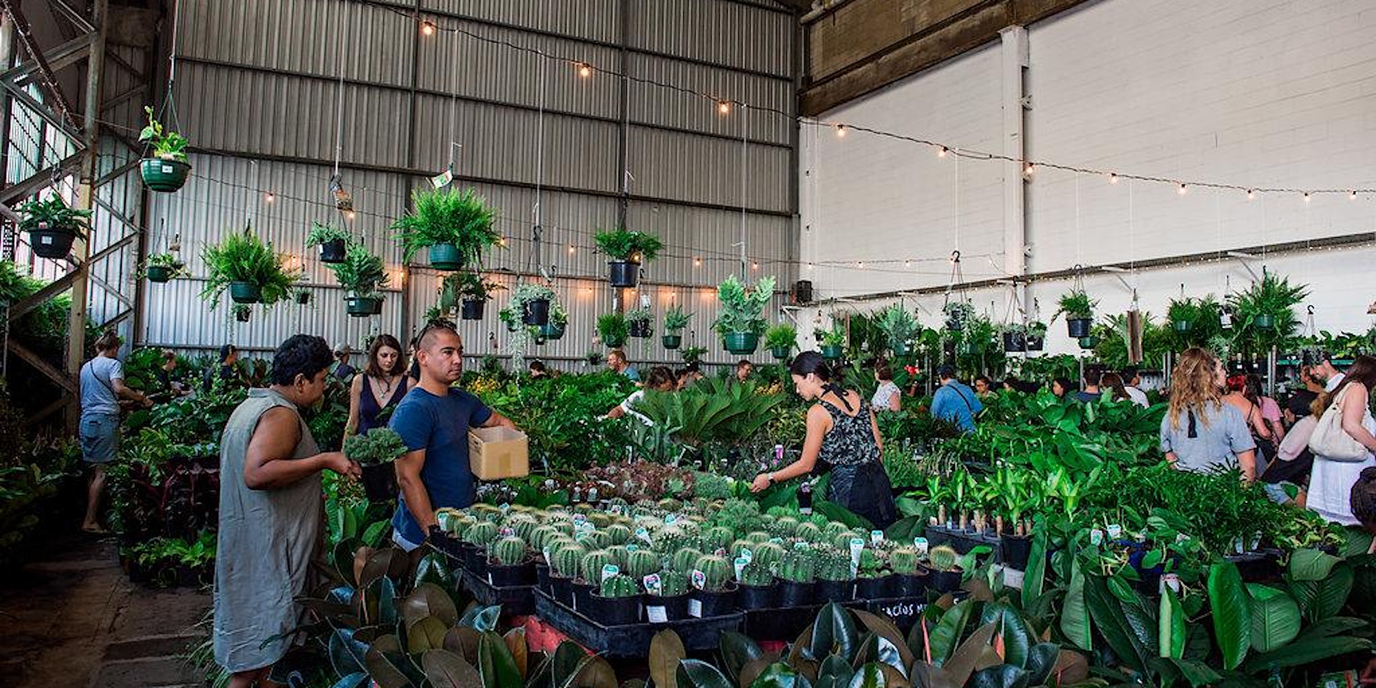 Canberra – Huge Indoor Plant Warehouse Sale - Springtime Fiesta!, Canberra, Australian Capital Territor, Australia