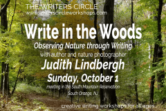 Write in the Woods