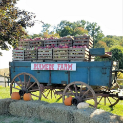 Family Fun Night at Riamede Farm