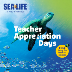Teacher Appreciation Days at SEA LIFE at Mall of America - FREE Entry for Teachers (Monday-Friday)