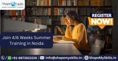 6 Weeks of Summer Training In Noida with Live Projects