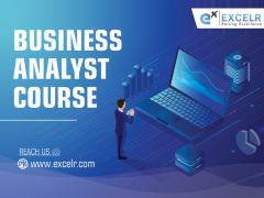 Business Analyst Certification