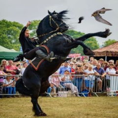 The Kent Country Show