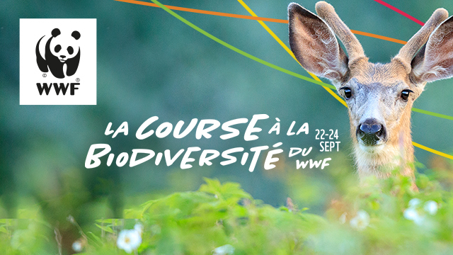 La Course a la biodiversite du WWF-Canada du 22 au 24 sept/ WWF-Canada's Race for Wildlife, Montréal, Quebec, Canada