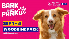 BuskerFest '23 and Bark in the Park TO