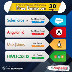 Free Demo on 30th August 2023 - Naresh IT