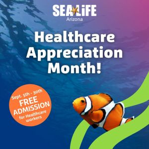 Healthcare Workers Appreciation Month, Tempe, Arizona, United States