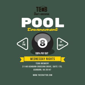 8 Ball Tournament, Ashburn, Virginia, United States