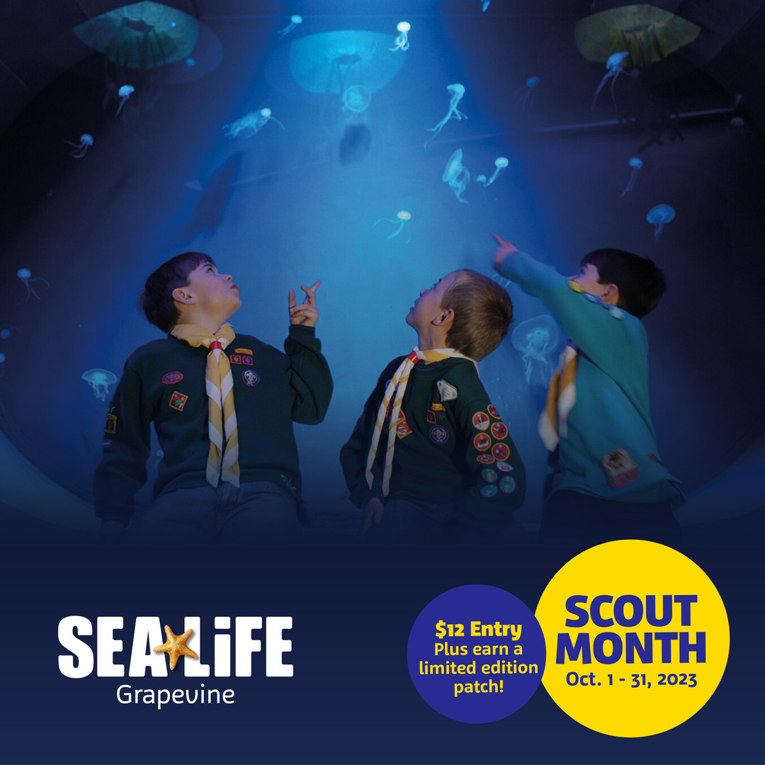Scout Month at SEA LIFE Grapevine, Grapevine, Texas, United States